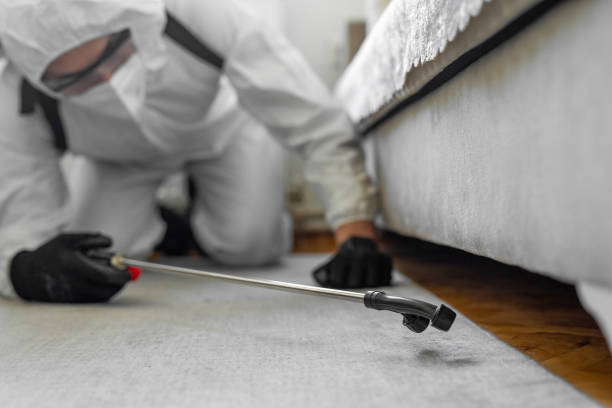 Professional Bed Bug Control technician working in Loxley, AL